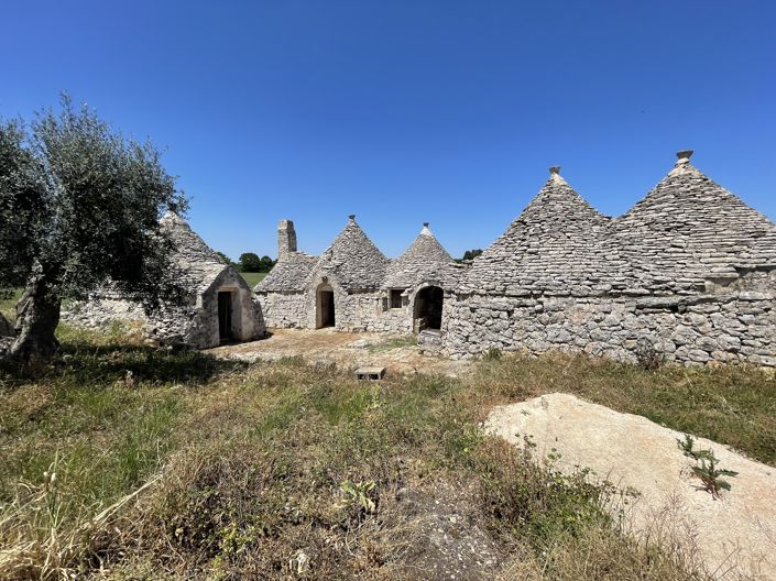 Image No.3-Maison de campagne de 1 chambre à vendre à Martina Franca