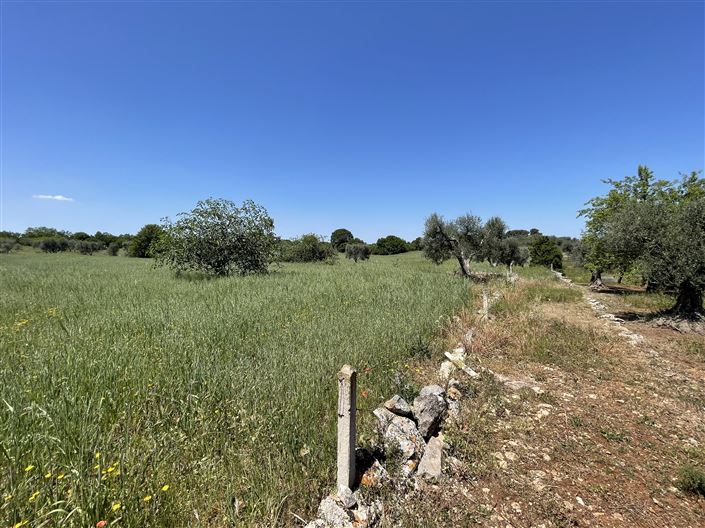 Image No.27-Maison de campagne de 1 chambre à vendre à Martina Franca