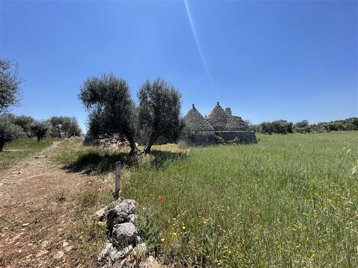 Image No.28-Maison de campagne de 1 chambre à vendre à Martina Franca