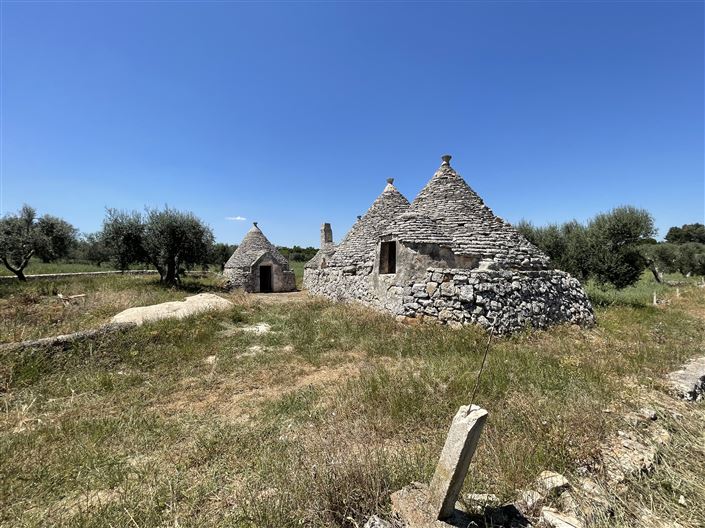 Image No.5-Maison de campagne de 1 chambre à vendre à Martina Franca