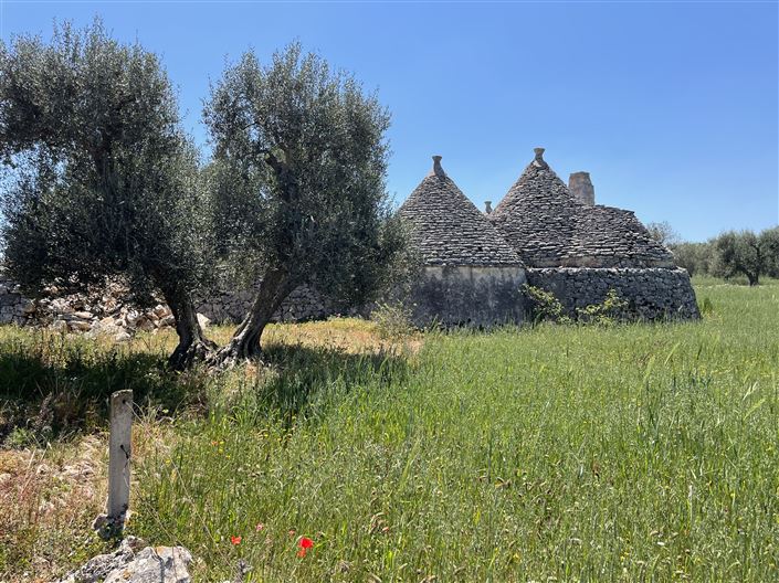 Image No.6-Maison de campagne de 1 chambre à vendre à Martina Franca