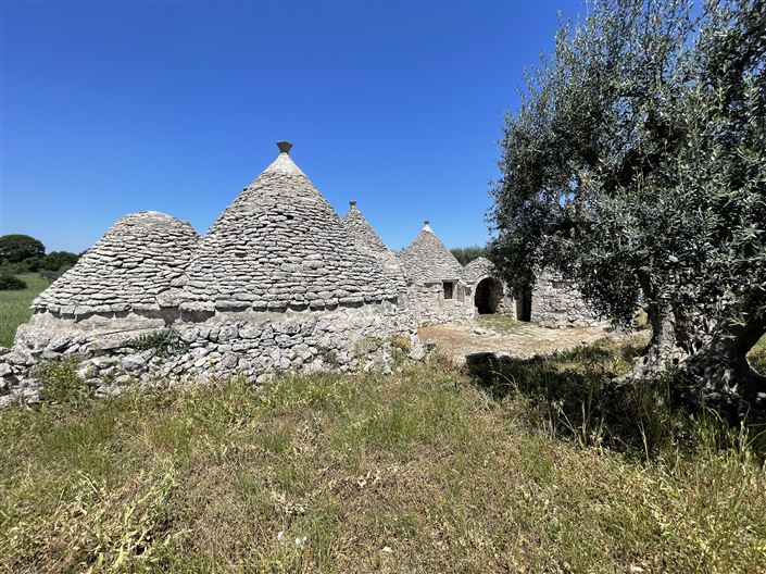 Image No.7-Maison de campagne de 1 chambre à vendre à Martina Franca