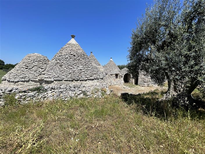 Image No.8-Maison de campagne de 1 chambre à vendre à Martina Franca