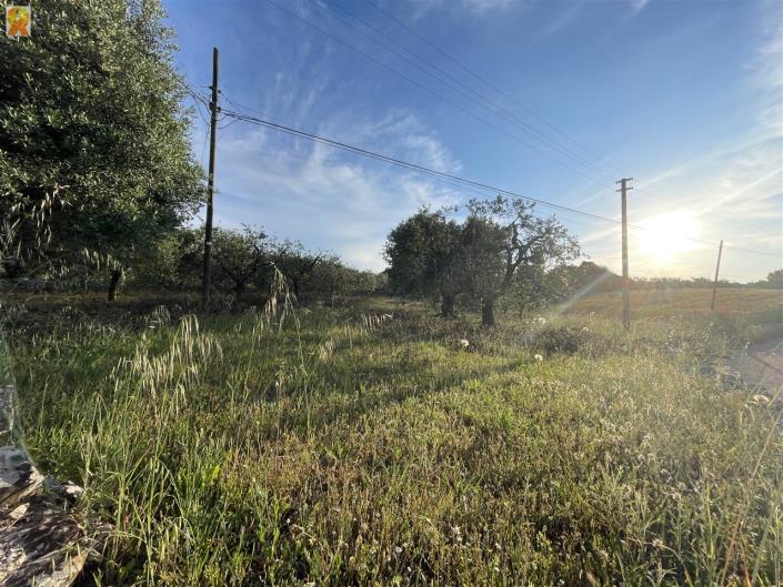 Image No.22-1 Bed Trullo for sale