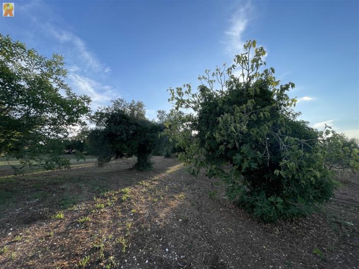 Image No.24-1 Bed Trullo for sale