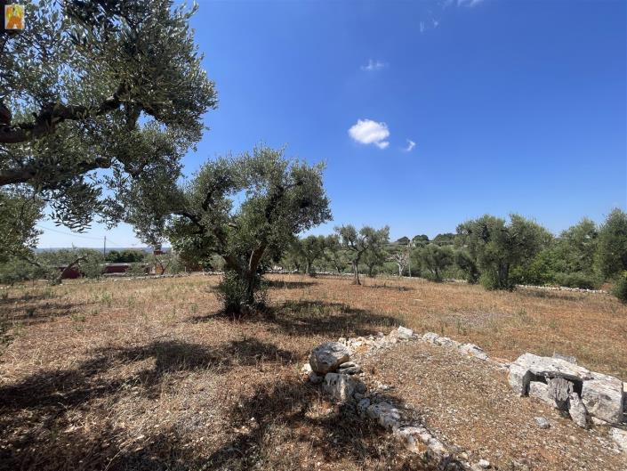 Image No.34-Trullo de 2 chambres à vendre à Martina Franca
