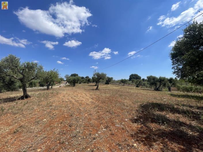 Image No.36-Trullo de 2 chambres à vendre à Martina Franca