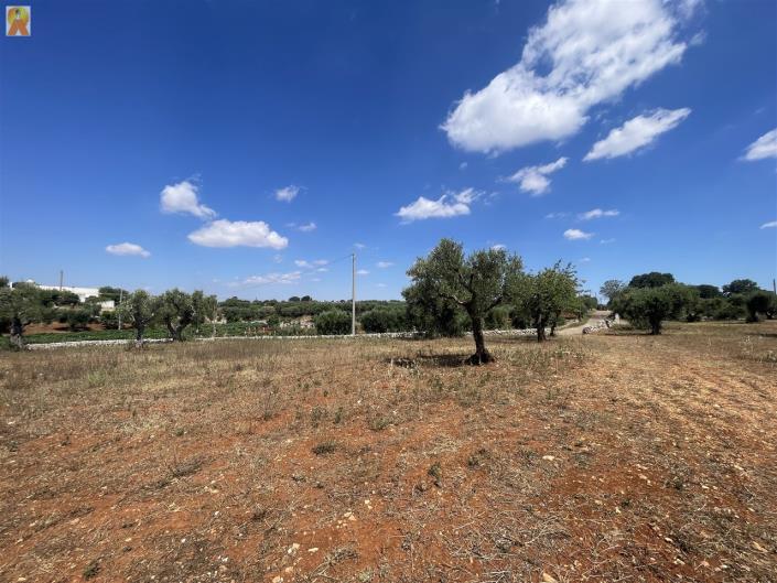 Image No.40-Trullo de 2 chambres à vendre à Martina Franca