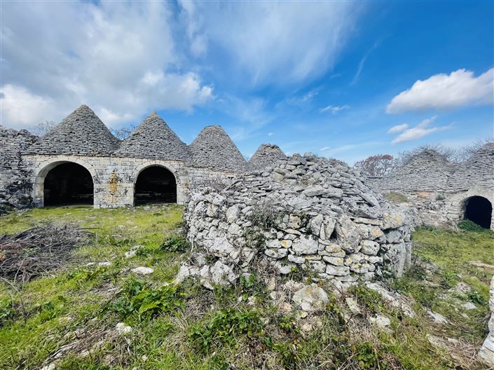 Image No.14-Ferme de 3 chambres à vendre à Martina Franca