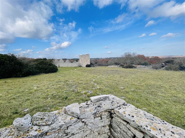 Image No.32-Ferme de 3 chambres à vendre à Martina Franca