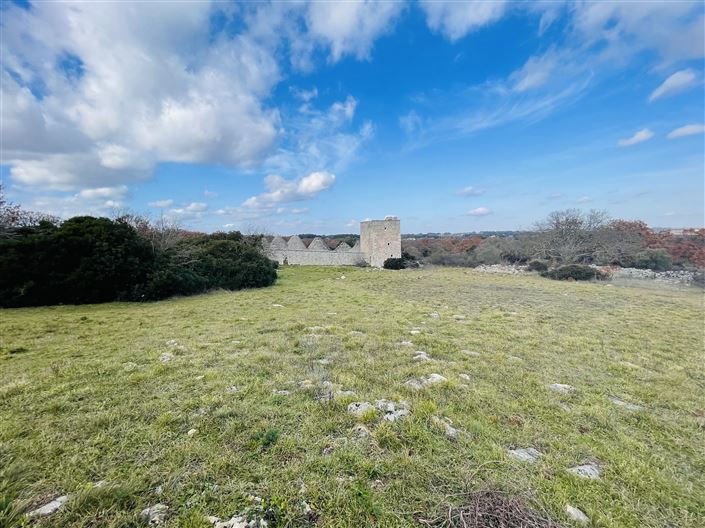 Image No.34-Ferme de 3 chambres à vendre à Martina Franca