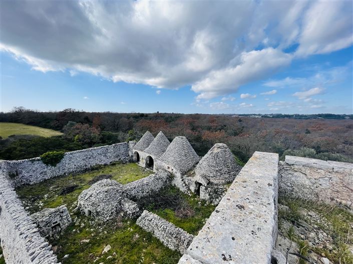 Image No.4-Ferme de 3 chambres à vendre à Martina Franca