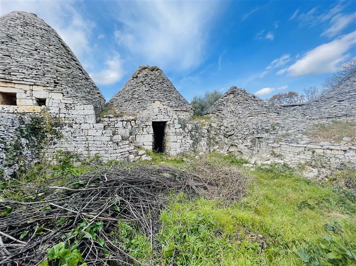 Image No.9-Ferme de 3 chambres à vendre à Martina Franca