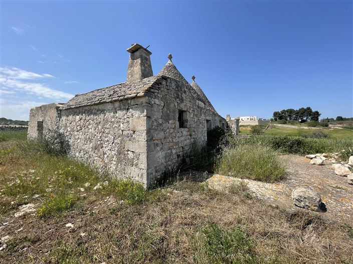 Image No.10-Maison de campagne de 2 chambres à vendre à Martina Franca
