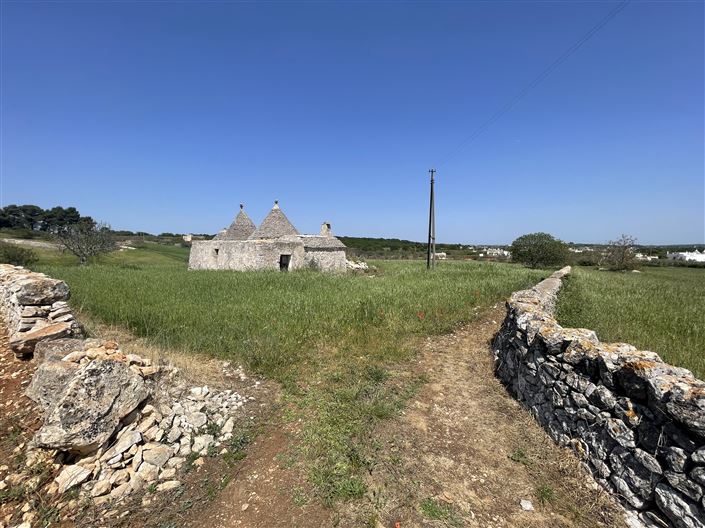 Image No.12-Maison de campagne de 2 chambres à vendre à Martina Franca