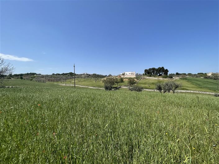 Image No.17-Maison de campagne de 2 chambres à vendre à Martina Franca
