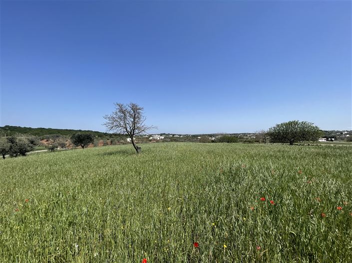 Image No.19-Maison de campagne de 2 chambres à vendre à Martina Franca
