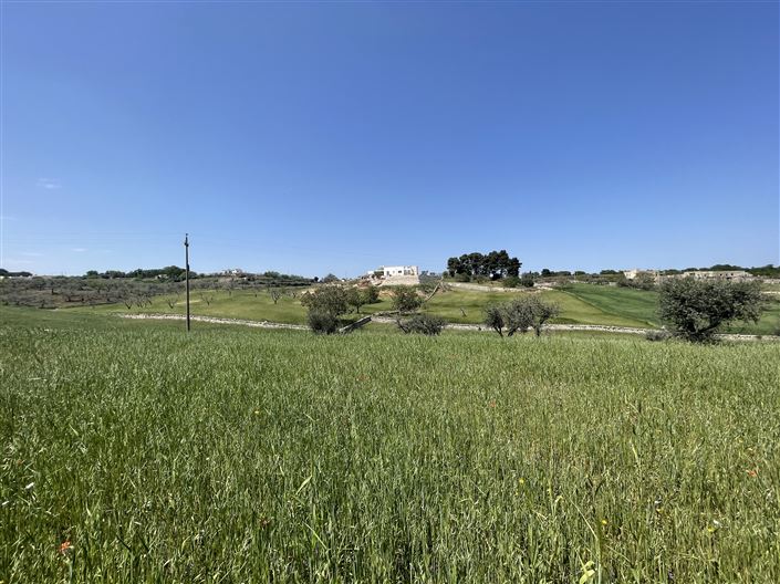Image No.21-Maison de campagne de 2 chambres à vendre à Martina Franca