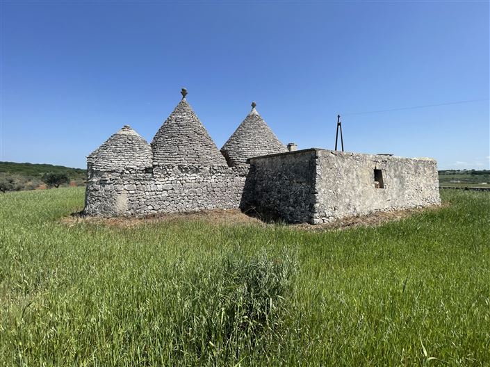 Image No.7-Maison de campagne de 2 chambres à vendre à Martina Franca