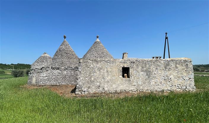 Image No.8-Maison de campagne de 2 chambres à vendre à Martina Franca