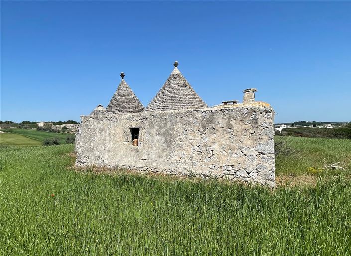Image No.9-Maison de campagne de 2 chambres à vendre à Martina Franca