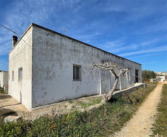 Image No.3-Maison de campagne de 3 chambres à vendre à Martina Franca
