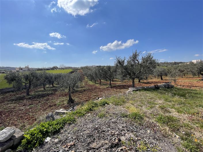 Image No.40-Maison de campagne de 3 chambres à vendre à Martina Franca