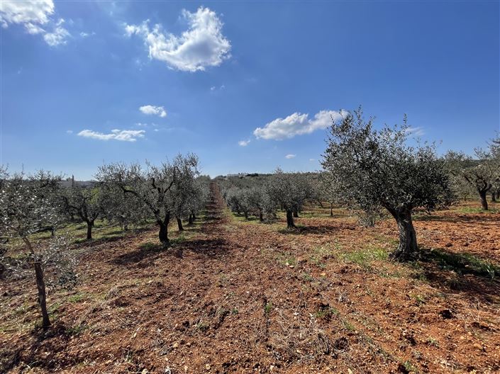 Image No.44-Maison de campagne de 3 chambres à vendre à Martina Franca
