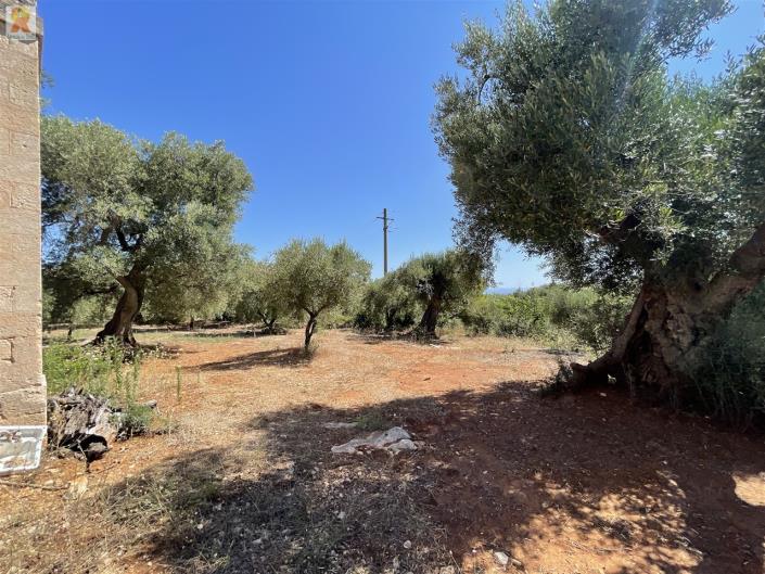 Image No.41-3 Bed Trullo for sale