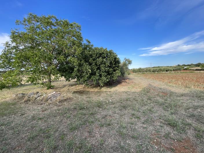 Image No.17-2 Bed Trullo for sale
