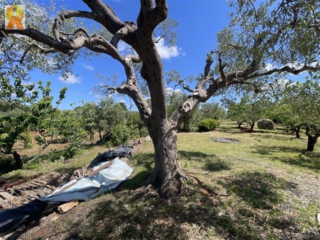 Image No.56-4 Bed Trullo for sale