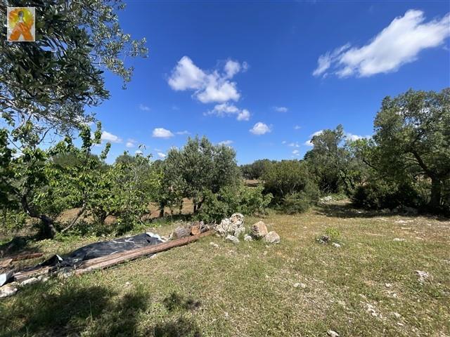 Image No.58-4 Bed Trullo for sale