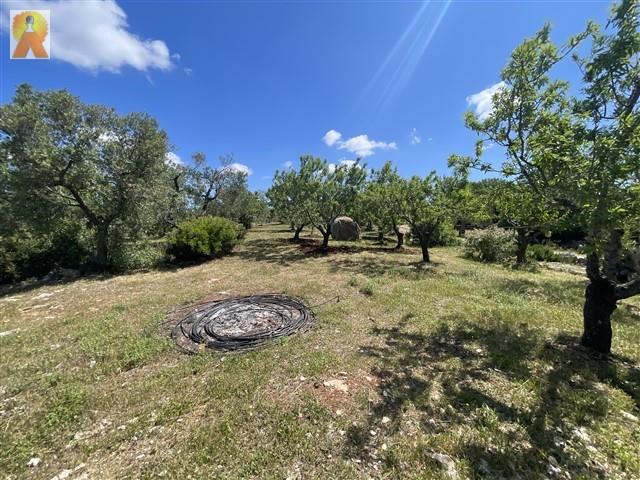 Image No.59-4 Bed Trullo for sale