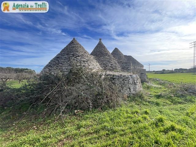Image No.5-Maison de campagne de 1 chambre à vendre à Martina Franca