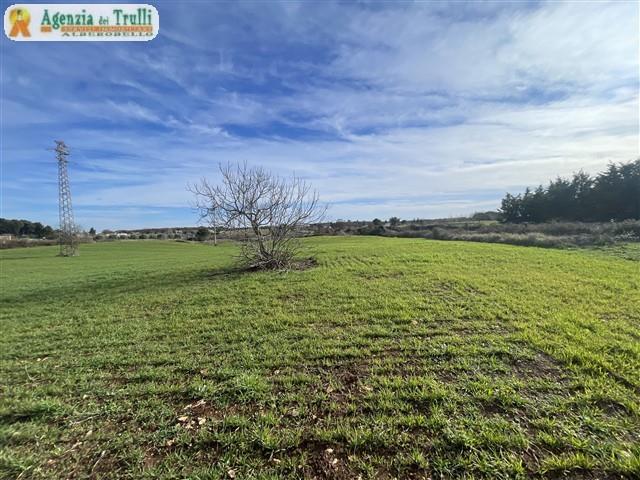 Image No.38-Maison de campagne de 1 chambre à vendre à Martina Franca