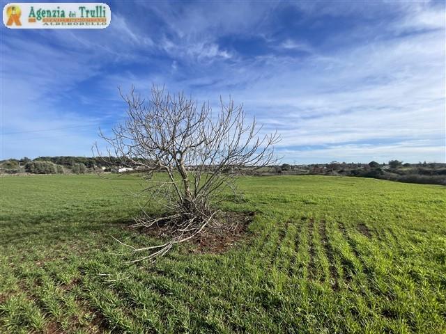 Image No.39-Maison de campagne de 1 chambre à vendre à Martina Franca