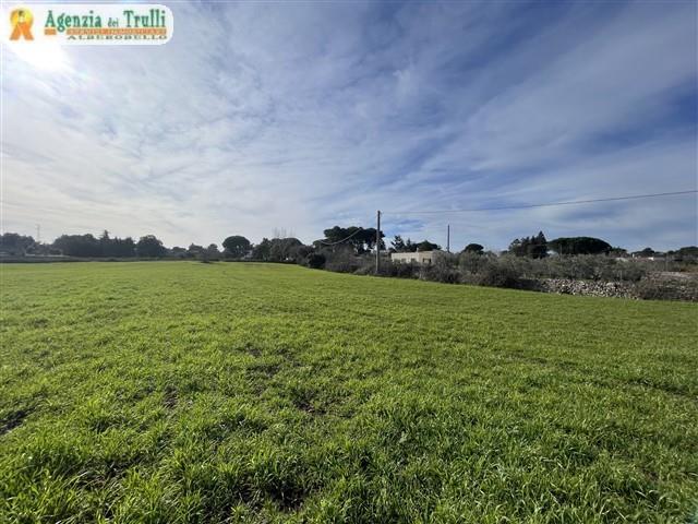 Image No.41-Maison de campagne de 1 chambre à vendre à Martina Franca