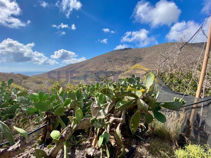 Image No.10-2 Bed Finca for sale