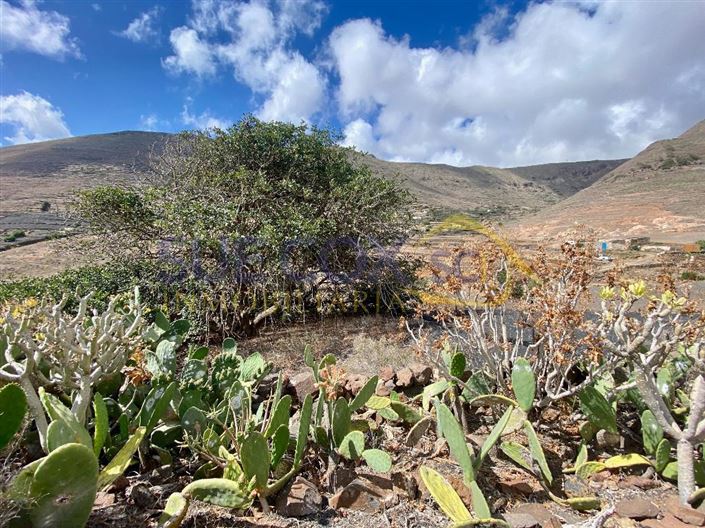 Image No.44-2 Bed Finca for sale