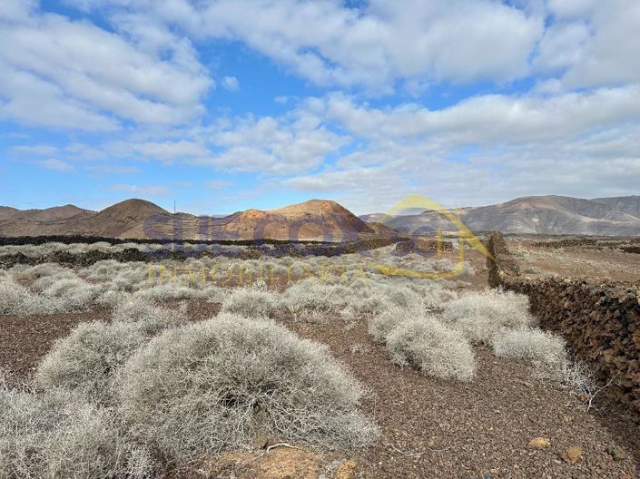 Image No.3-Terre à vendre à Haria