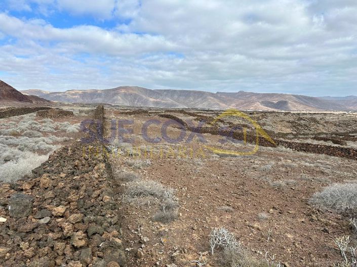 Image No.4-Terre à vendre à Haria