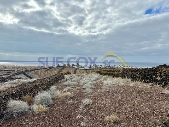 Image No.5-Terre à vendre à Haria