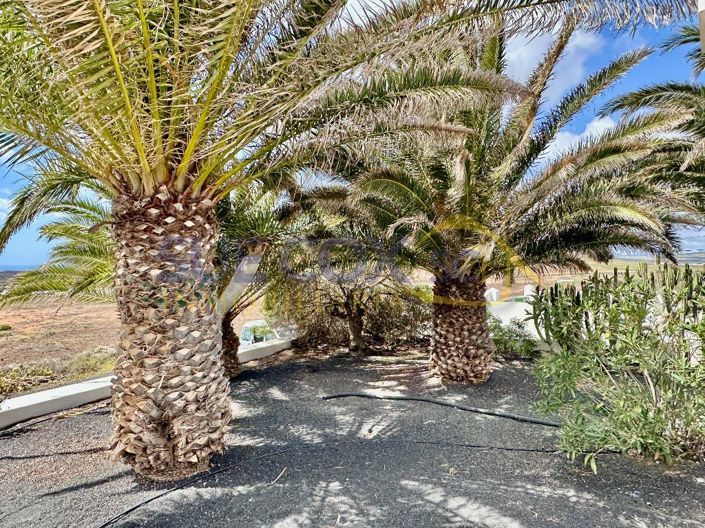 Image No.39-Villa de 3 chambres à vendre à Tahiche