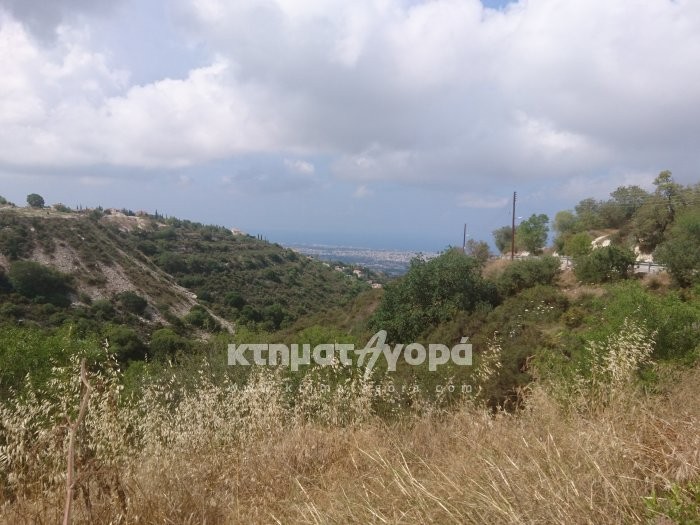 Image No.2-Terre à vendre à Tsada