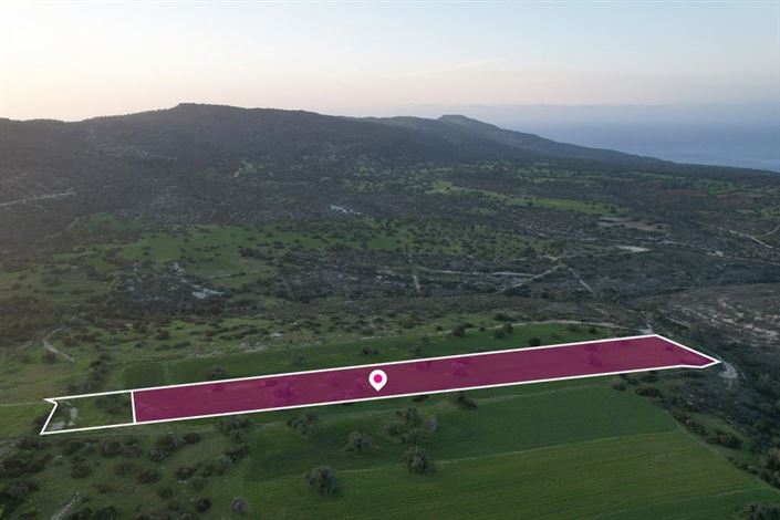 Image No.2-Terre à vendre à Neon Chorion