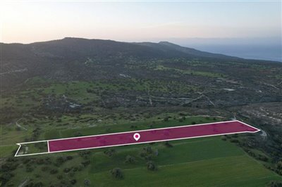 Agricultural field, Neo Chorio Paphou