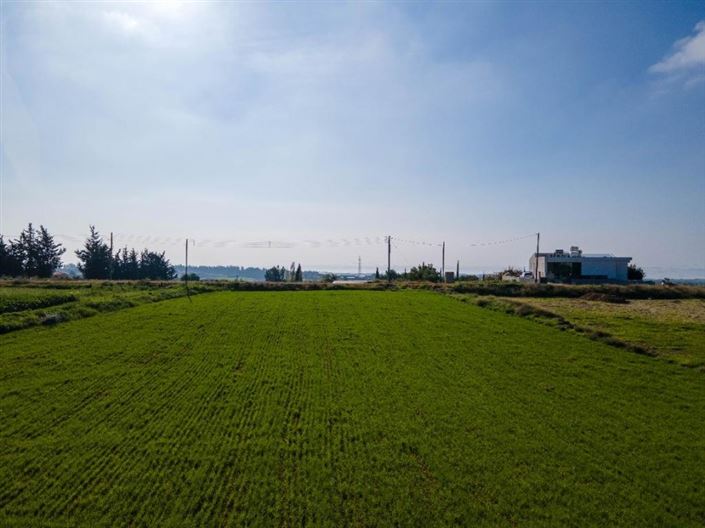 Image No.3-Terre à vendre à Anarita