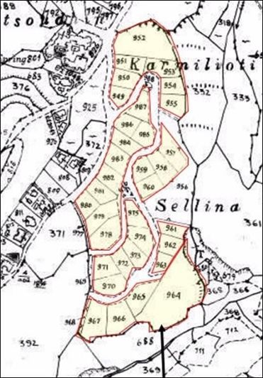 Image No.3-Terre à vendre à Tsada