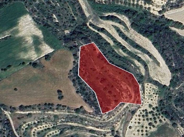 Image No.2-Terre à vendre à Paphos