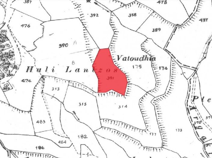 Image No.4-Terre à vendre à Paphos